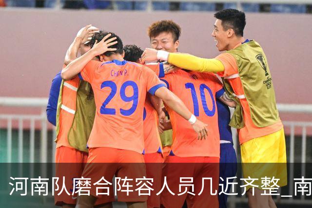 河南队磨合阵容人员几近齐整 南基一剑指中超前六